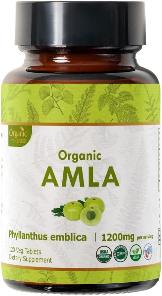 Amla 120 tablečių - USDA Organic Indian Gooseberry - Turtingas vitamino C & Palaiko imuninę sveikatą