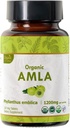 Amla 120块牌匾 – USDA有机印度鹅莓 – 富含维生素C和支持免疫健康*