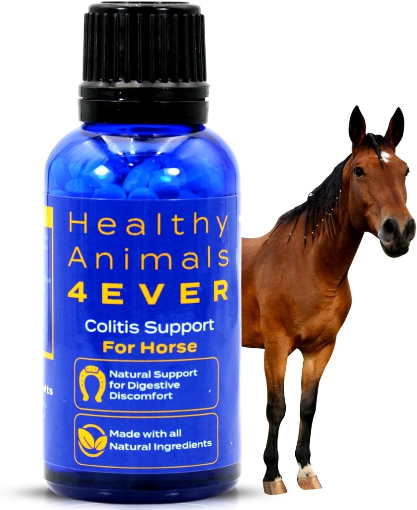 HA4E - Horse Colitis Support - Assistantful for Diarrhea ' Dehydration - Preventative Care - Highly Effective, Natural Homeopathic supplement - 300 الجداول