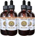Muira Puama Extract lichid, Organic Muira Puama (Pychopetalum Olacoides) Tincture Supliment 4x4 oz