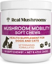 Véritables champignons Mobility Chews for Dogs & Cats – Muselle verte et mélange de champignons d'or – Chien & Vitamines pour chats Traitements pour routines actives – Support pour articulations, hanches et flexibilité – 240 ct Supplément