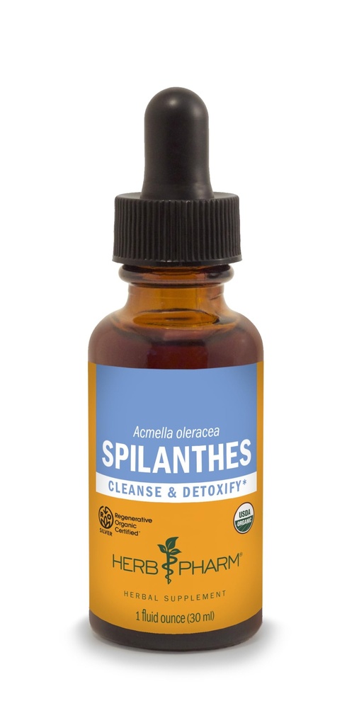 Herb Pharm Spilanthes Liquid Extract | Organic Spilanthes Tincture (Toothache Plant) | Herbal Detox & Cleansing Support | Rapid Absorption Drops | Non-GMO, Gluten Free | 1 fl oz