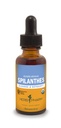 Herb Pharm Spilanthes Liquid Extract | Organic Spilanthes Tincture (Toothache Plant) | Herbal Detox & Cleansing Support | Rapid Absorption Drops | Non-GMO, Gluten Free | 1 fl oz