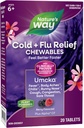 Nature's Way Cold+Flu Relief, Umcka, raccourcit la durée et réduit la gravité, le soulagement multisymptômes, homéopathique, phényléphrine libre, non somnolent, aromatisé aux baies, 20 comprimés à croquer (paquetage mai Vary)