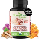 ForestLeaf Organic Sea Moss Capsules 124g Raw Seamoss Pills Advanced Superfood + Burdock, Bladderwrack for Digecourse, Respiratory, Imune Health 124; 90 Vegan Sea Moss Caps Organik