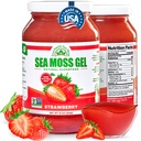EverSmith Organics - Wildcrafted Irish Sea Moss Gel | Made in USA | Rich in Nutrients | Sea Moss Gel Raw | Jarred Vegetables & Fruits | Strawberry (1 Jar)