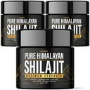 (3 Pack) Shilajit Pure Himalayan Organic Resin - Natural Authentic Lab Tested Formula for Men, Women - No Heavy Metals - 600mg Max Strength with 85+ Trace Minerals Golden Grade Shilajit Supplement