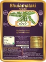 Veena Biotic Bhumi Amla Powder (Phyllanthus Niruri) Bhoomi Amla Powder - Bhuiamlaki Powder - 100gm