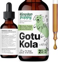 Forever Puppy Gotu Kola Drops для собак - Centella Asiatica & Gotu Kola екстракт для підтримки здоров'я бюстгальтера - Liquid Brain добавки для собак всіх Breeds & Розміри - 2 oz