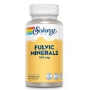 SOLARAY Fulvic Minerals 100mg - Shilajit Fulvic Mineral Complex - Trace Minerals Supplements for Overall Wellness Support - Vegan, Gluten Free, Lab Verified, 60-Day Guarantee - 30 Servings, 30 VegCaps