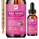 Sea Moss Liquid Drops - Organic Irish Sea Moss with Black Seed Oil, Ashwagandha, Soursop, Bladderwrack, Burdock Root, Elderberry, Turmeric | Seamoss for Immune Support, Energy, Hair & Digestion -Vegan