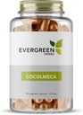 Capsule Evergreen Herbs Cocolmeca - 450 mg. - 90 Capsule - Smilacacee, Greenbrier, Sarsaparilla, Smilax