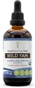 Secrets of the Tribe Wild Yam Alcohol-Free USDA Organic Tincture (Glycerite) Responsible Farmed Wild Yam (Dioscorea Villosa) Getrocknete Wurzel (4 Fl Oz) Hormon Support Supplement