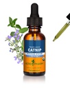Herb Pharm Catnip Liquid Herbal Extract: Calming Nervous System Support | Vegan Organic Catnip Tincture | Herbal Support for the Nervous System | Non-GMO, Gluten-Free, Up to ~3 Week Supply, 1 oz*