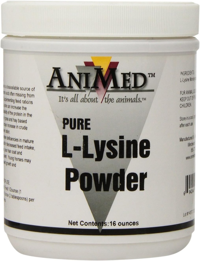 AniMed L-Lysine עבור סוסים, 16-Ounce