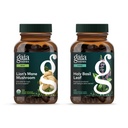 Gaia Herbs Lion’s Mane Mushroom - Brain & Nerve Health Support* - 120 Vegan Liquid Phyto-Capsules & Holy Basil Leaf - Traditionally Used to Support Stress Response*- 120 Phtyo-Cap - Bundle (Pack of 2)