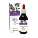 Naturalma Alfalfa or Lucerne (Medicago Sativa) herb with Flowers Alcohol-Free Tincture - Rich in Natural Chlorophyll - 4 fl oz Liquid Extract in Drops - Herbal Supplement - Vegan