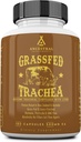 Ancestral Supplements Gras Fed Beef Tracheal Cartilage Supplement with Liver, 3000mg, Immune Здоров'я та Joint Супління підтримки Сприяє зцілення, Non-GMO, 180 капсули
