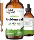 Wild " Organic Goldenseal Tincture - Lung ' Digestive Support - Goldenseal Root Extract Liquid drops - Vegan, Sugar " Alcohol-Free Herb supplement - 4 fl oz
