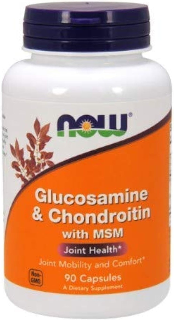 Glucosamine & Chondroitin עם MSM - 90 Caps -2 Pack