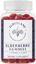 Elderlane Elderberry Gummies für Erwachsene und Kinder - Immununterstützung - Non-GMO, Vegan, Gluten-Free, Gelatin-Free - 60ct, 100mg