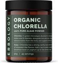 Erbologi Økologisk Klorella Powder 3.2 oz - 45 Serveringer - Stabilt utgitt i Spania - Body Cleansing og immunitetsstøtte - Rich i Klorophyll, B vitaminer, jern og fosfor - Vegan - GMO-fri