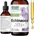 Forever Puppy Echinacea Drops för hundar - Immunity Support & Respiratory Health w / Echinacea Herb Extract - Liquid Immune Support Supplement för hundar av alla raser och storlekar - 4 uns