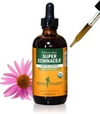 Herb Pharm Certified Organic Super Echinacea Liquid Extract for Active Immuun System Support - 4 Oz