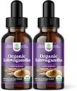 Nature Craft USDA Organic Ashwagandha Liquid Drops - 스트레스와 무드 지원을위한 액체 Ashwagandha 뿌리 추출물 - 맛있는 Adaptogenic Tincture Non GMO Vegan Gluten 알코올 및 설탕 무료 (2 팩)