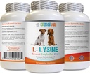 Suplemen Acid Dog Amino - Dog LYSINE Powder - Formulir Kubah Murni - Dukungan Sistem Imune - Vet Disarankan - lysine Dogs - 1 Botol (8oz 226.8 Grams)