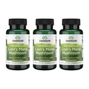 Swanson Lion's Mane Mushroom Brain Health Supplement for Professionals Seeking Mental Focus, Memory, and Clarity Support - 500 mg (60 Vegan Capsules, 4 Bottles, 3 Pack)