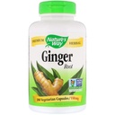 Nature's Way Ginger Root 550 mg, Capsules 180ea