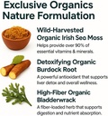 ORGANICS NATURE Irish Sea Moss Kapsule 45 Servisi 