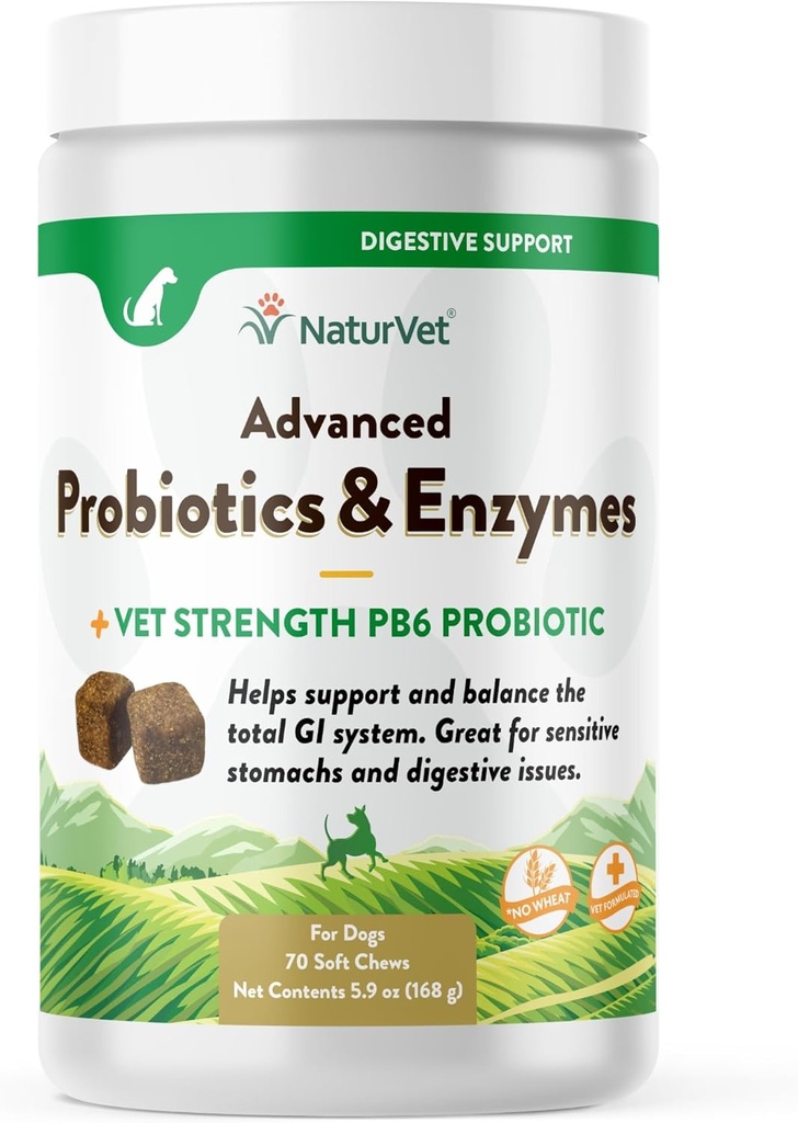 NaturVet Probiotics & Enzymes, PB6 Dog Soft Chews laguntzeko sentikorra Stomachs eta Digestive Issues, Hickory Smoked Bacon Flavored Pet Supplement for Dogs over 6 Weeks, 70 Count Jar