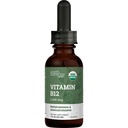 Earth Harmony Naturals Organic Vegan Vitamin B12 Sublingual Liquid Supplement - 2500mcg Methylcobalamin Drops for Natural Energy, Metabolism Health and Immune System Support - 1 Fl Oz
