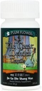 The Great Mender Teapills (Jin Gu Die Shang Wan) 200 pills