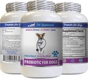 Hund Digestive enzymer och probiotika - PROBIOTICS for Dogs - Healthy Gut - Stop Gas Diarrhea and Bad Breath - Digestive Boost - Dog probiotics Powder - 1 Bottle (60 Treats)