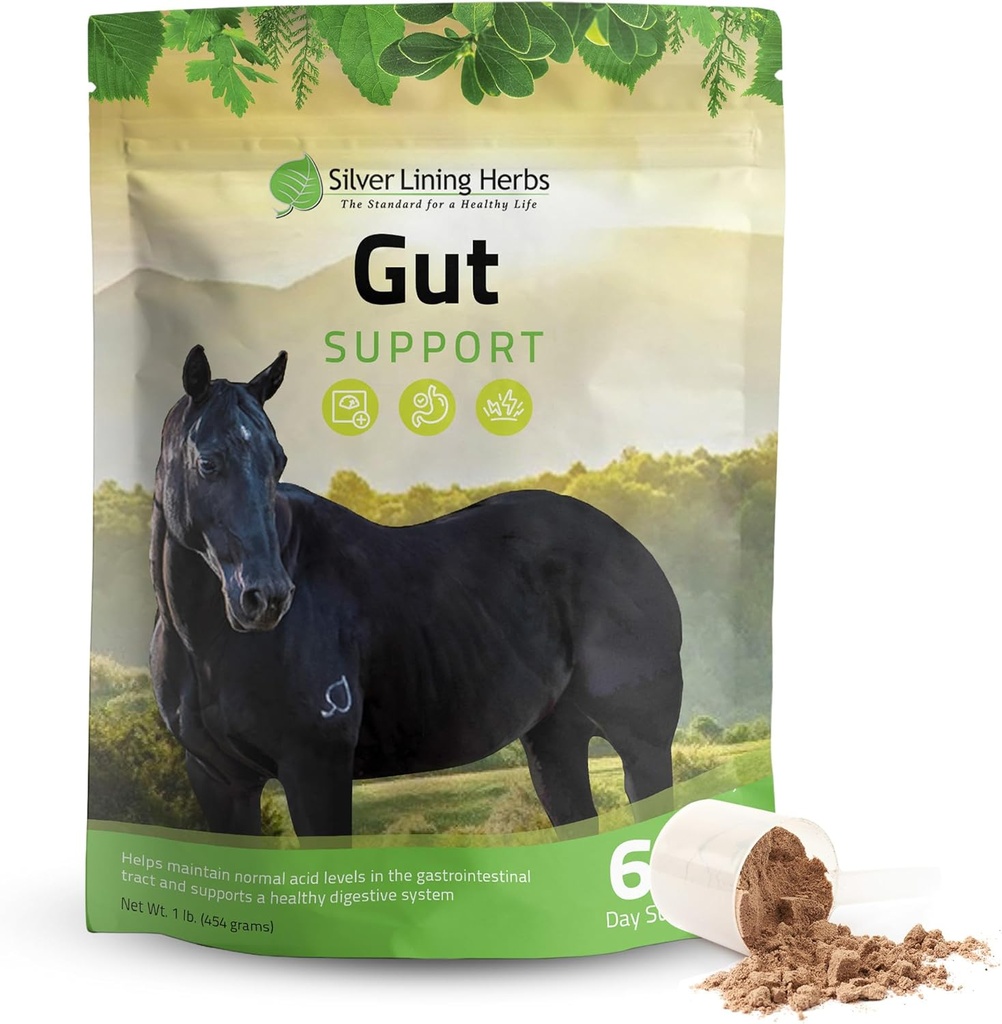Sølv Lining urter Gut Support Horse Kosttilskud - Gut Sundhed & fordøjelsestilskud til heste - Potent fordøjelse Support Herbal Blend af lakrids, Slippery Elm & mere - 1 LB 60- Day Supply