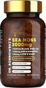 Dr. Sosnowski 's BioActive Sea Moss 124; 8-1 Formula Enriched dengan Benih Hitam, Ashwagandha, Turmeric, Manuka Honey, Lion' s Mane, Royal Jelly, Bee Propolis Ekstract 124; 60 Capsules