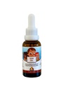 Punkin Butt Baby Oil Ear 124; Organiczny czosnek, Mullein, Calendula Ear Drops Sejf dla niemowląt (1 oz)
