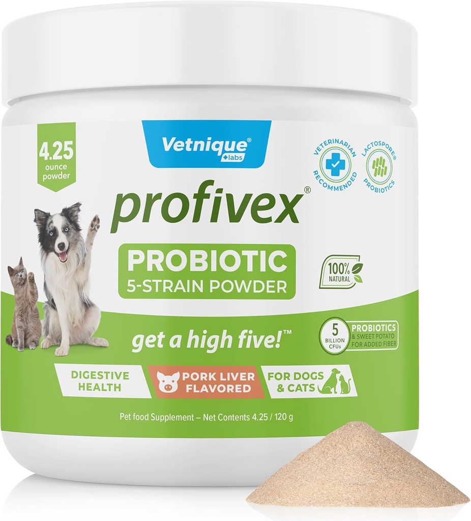 Vetnique Labs Profivex Profivex kutyák minden természetes kutya sajtok és por emésztési egészség probiotikus kiegészítők kutyák 5 törzsek probiotikumok és prebiotikumok (Powder, 4.25oz)