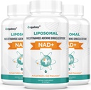 Orgabay Liposomal NAD. Supliment 500 mg, Absorbţie mare, Boost NAD+ cu TMG 250 mg, actual NAD Plus mai eficient decât nicotinamida Ribozidă, suport energie celulară, îmbătrânire sănătoasă 180 Softgels