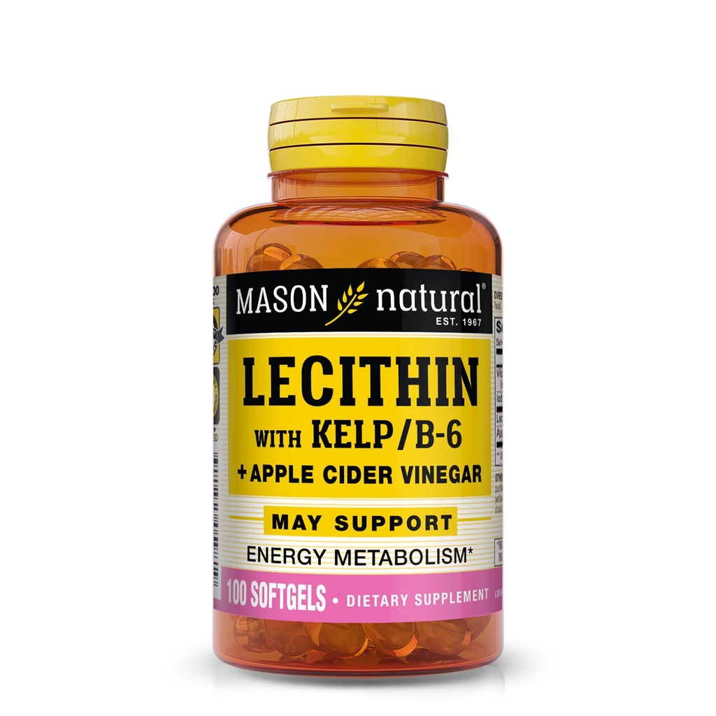 MASON NATURAL Lecithin with Kelp, Vitamin B6 & Apple Cider Vinegar, Dual Action Formula, 100 Softgels (Pack of 1)