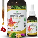 Natural Botanical Drops – Ginger ve Digestive Enzymes in an Organic Formula for Comprehensive Wellness, Support Immune System, Support Inflammation Relief, and improve Blood Circulation (50 ml)