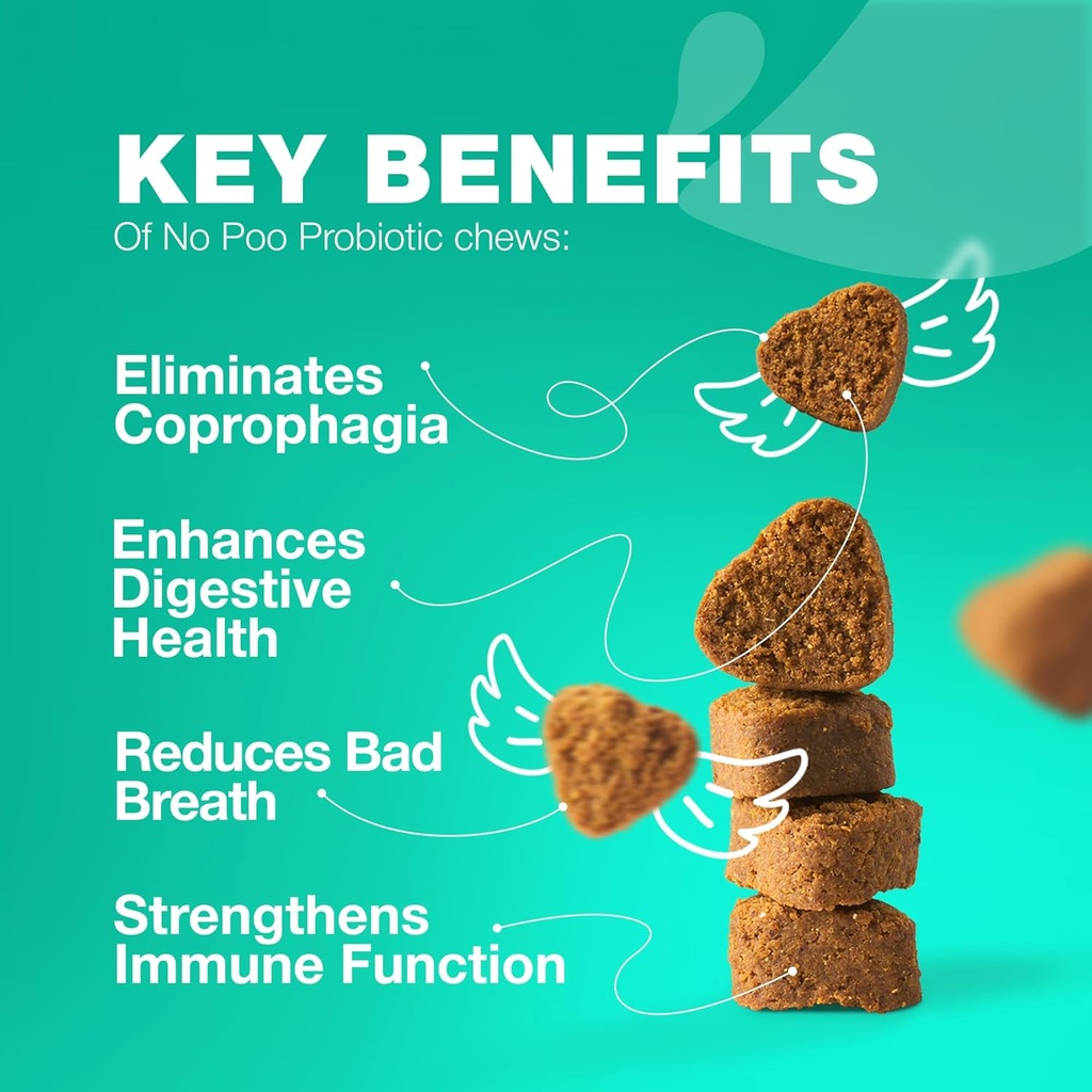 Nr Poo Chewables šunims - Fermentai, šuo Probiotikai Digestic Health - šunų Digestive, gut & Immunal Health Priedas