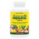 NaturesPlus Source of Life Prenatal - 90 Tablets - Multivitamin & Mineral Supplement with Iron - Nutritional Support for Pregnancy - Gluten Free, Vegetarian - 45 Servings