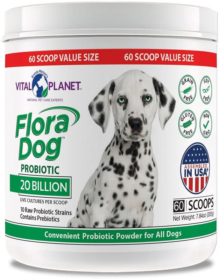 Vital Planet - Flora pes probiotický prášok doplnok s 20 miliárd kultúr a 10 kmeňov, vysoká potencie imunitné a trávne podpora probiotiká pre psy, 7.84 oz., 222 Grams, 60 Servings
