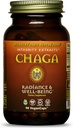 HealthForce SuperFoods Integrity Extracts Chaga – Capsules - 90 Vegan Capsules