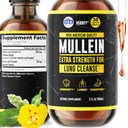 HERBIFY Mullein Extract 2 oz Tincture for Respiratory Health, Mullein Leaf and Flowers Blend (Verbascum Densiflorum)