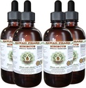 Hibiscus Alcohol-Free Liquid Extract, Hibiscus Organikoa (Hibiscus Sabdariffa) Dried Flower Glycerite Hawaii Pharm Natural Herbal Supplement 4x4 oz